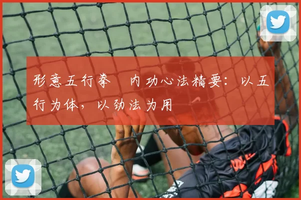 形意五行拳・内功心法精要:以五行为体,以劲法为用
