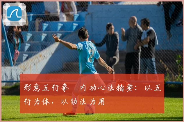 形意五行拳・内功心法精要：以五行为体，以劲法为用