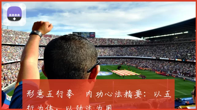 形意五行拳・内功心法精要:以五行为体,以劲法为用