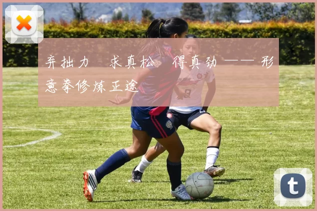 弃拙力・求真松・得真劲 —— 形意拳修炼正途