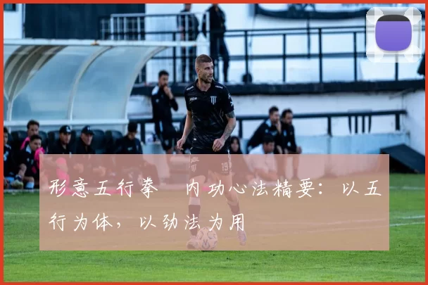 形意五行拳・内功心法精要：以五行为体，以劲法为用