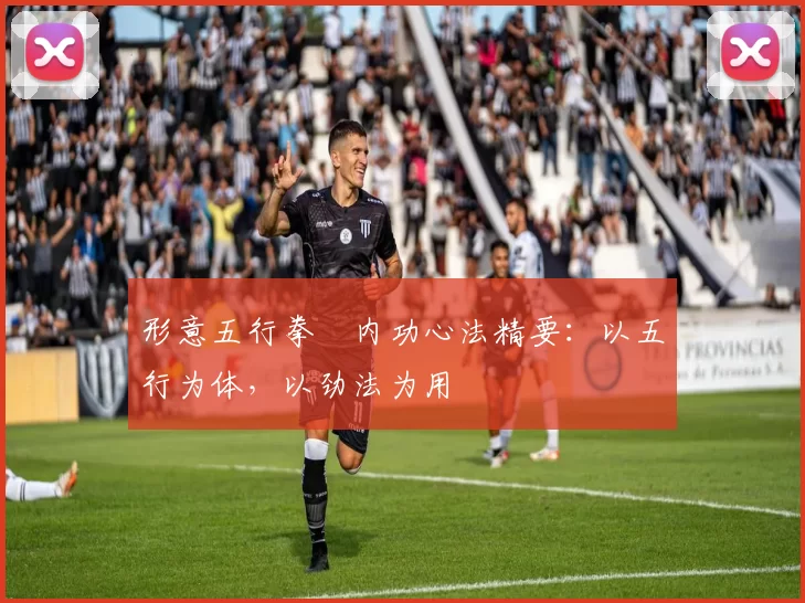 形意五行拳・内功心法精要:以五行为体,以劲法为用