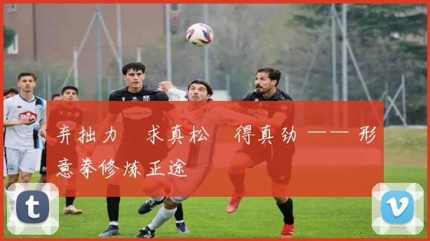 弃拙力・求真松・得真劲 —— 形意拳修炼正途