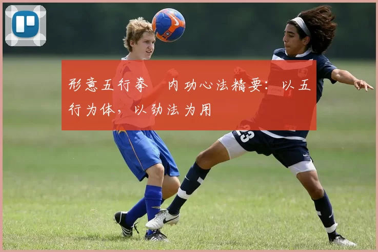 形意五行拳・内功心法精要:以五行为体,以劲法为用