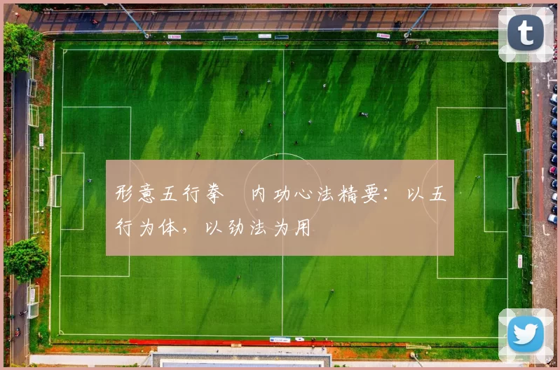 形意五行拳・内功心法精要:以五行为体,以劲法为用