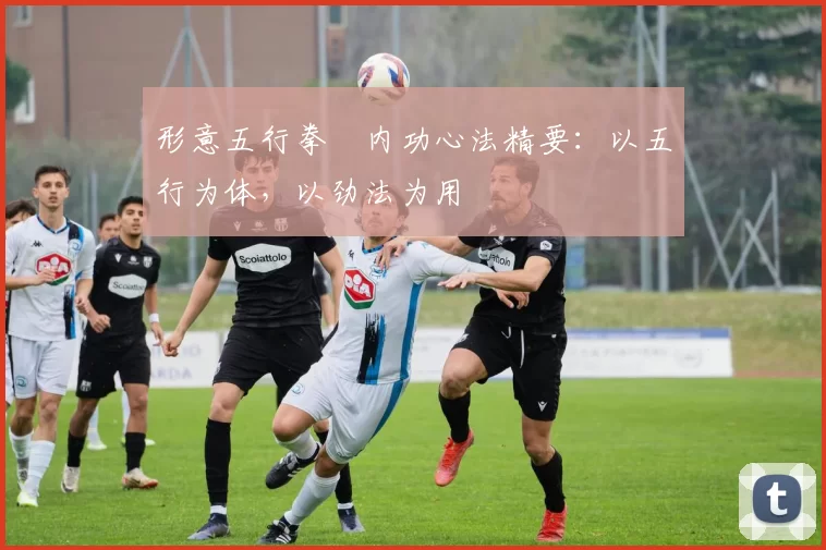 形意五行拳・内功心法精要：以五行为体，以劲法为用