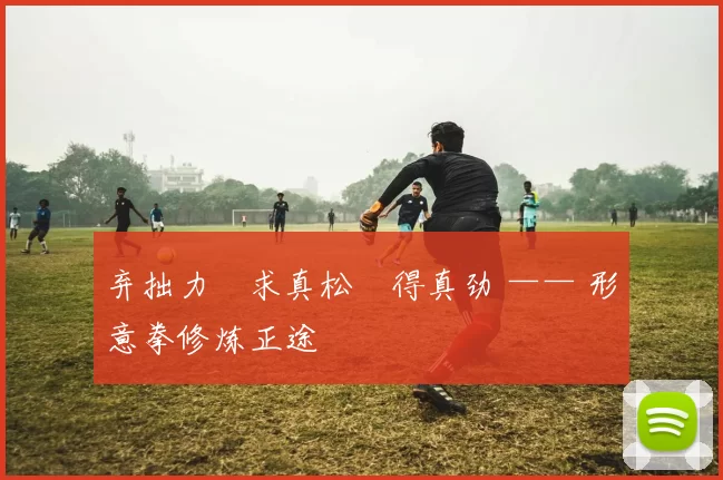 弃拙力・求真松・得真劲 —— 形意拳修炼正途