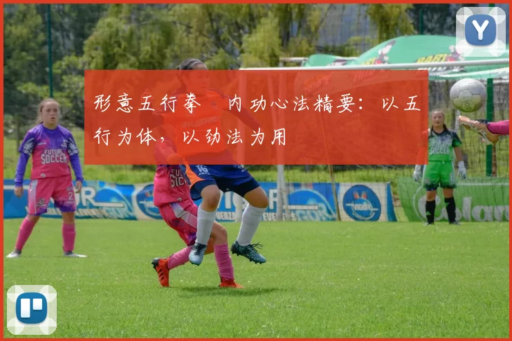 形意五行拳・内功心法精要:以五行为体,以劲法为用