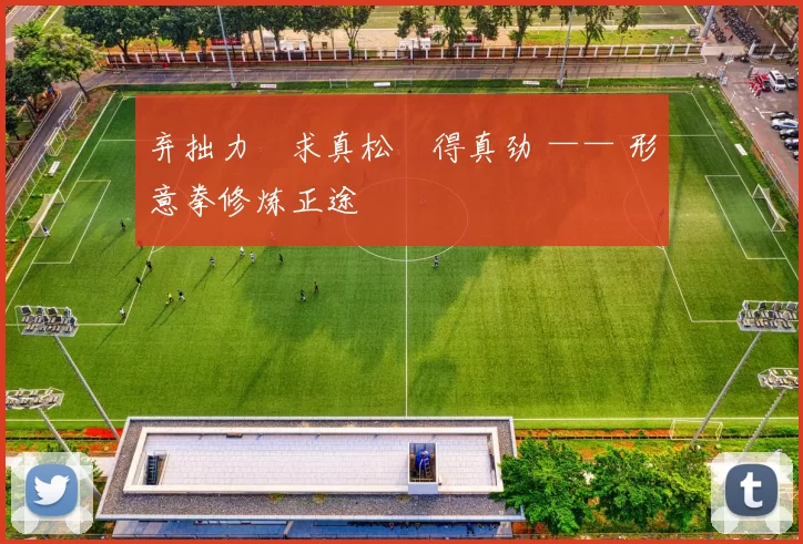 弃拙力・求真松・得真劲 —— 形意拳修炼正途