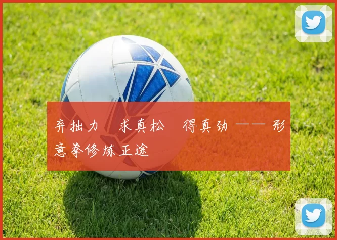 弃拙力・求真松・得真劲 —— 形意拳修炼正途