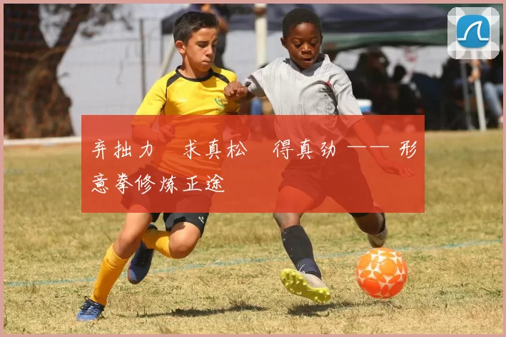 弃拙力・求真松・得真劲 —— 形意拳修炼正途