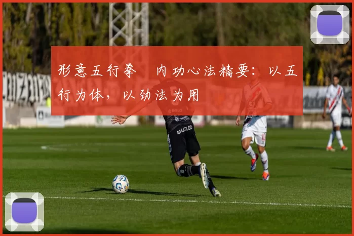 形意五行拳・内功心法精要:以五行为体,以劲法为用