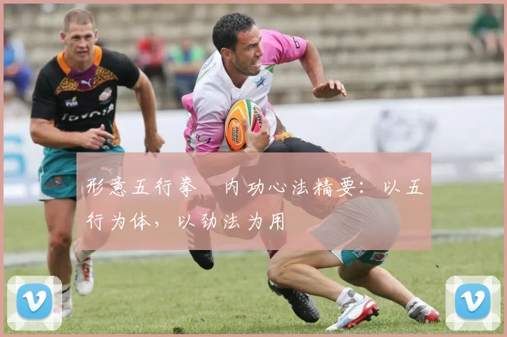 形意五行拳・内功心法精要：以五行为体，以劲法为用