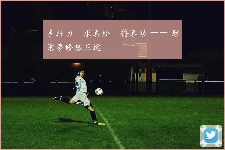 弃拙力・求真松・得真劲 —— 形意拳修炼正途