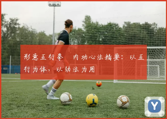 形意五行拳・内功心法精要：以五行为体，以劲法为用