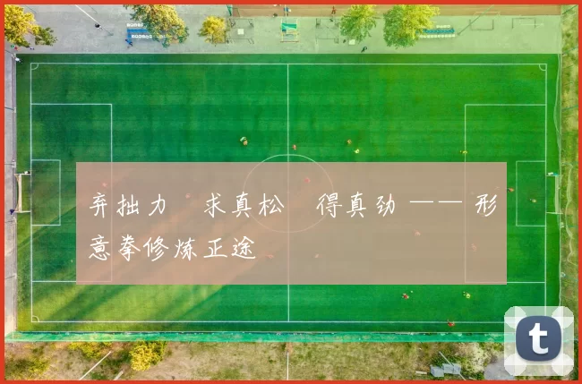 弃拙力・求真松・得真劲 —— 形意拳修炼正途