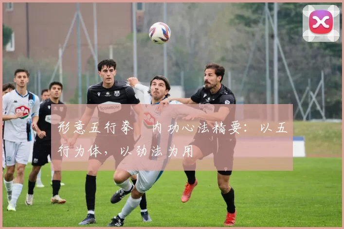 形意五行拳・内功心法精要:以五行为体,以劲法为用