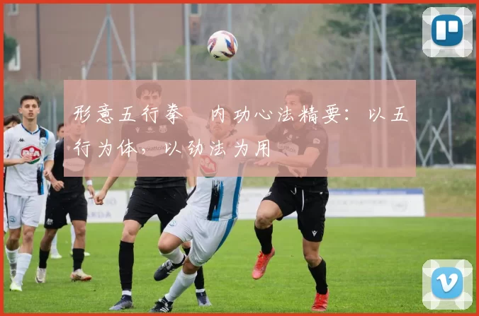 形意五行拳・内功心法精要:以五行为体,以劲法为用