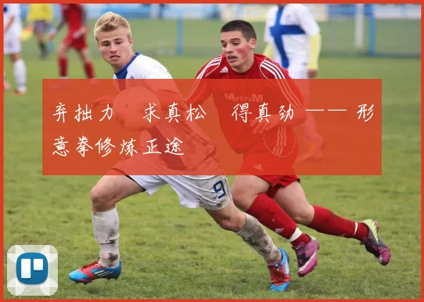 弃拙力・求真松・得真劲 —— 形意拳修炼正途