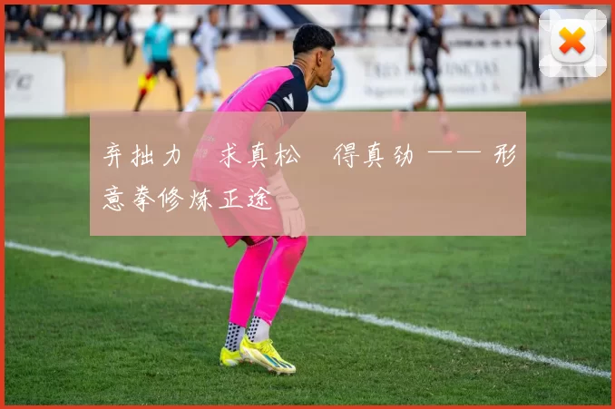 弃拙力・求真松・得真劲 —— 形意拳修炼正途