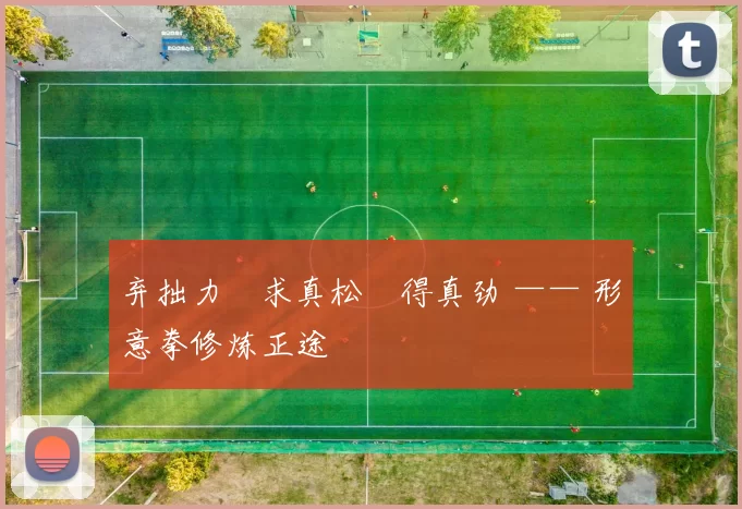 弃拙力・求真松・得真劲 —— 形意拳修炼正途