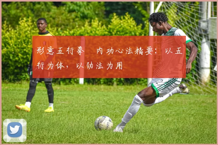 形意五行拳・内功心法精要：以五行为体，以劲法为用
