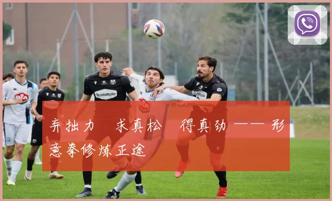 弃拙力・求真松・得真劲 —— 形意拳修炼正途