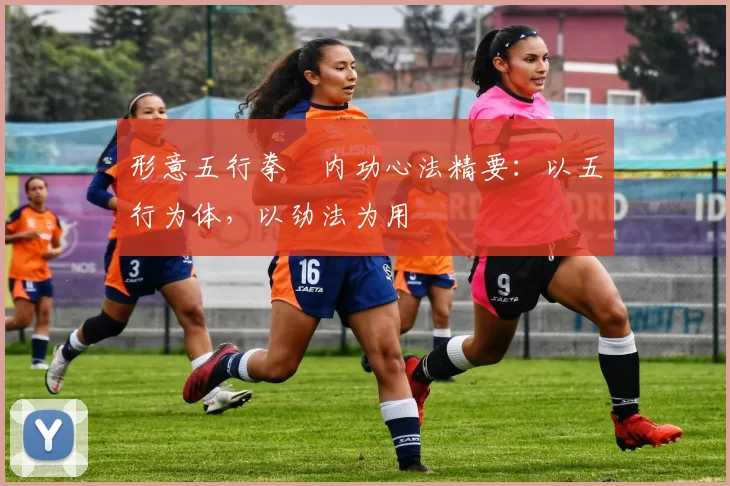 形意五行拳・内功心法精要:以五行为体,以劲法为用