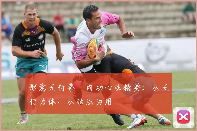 形意五行拳・内功心法精要:以五行为体,以劲法为用