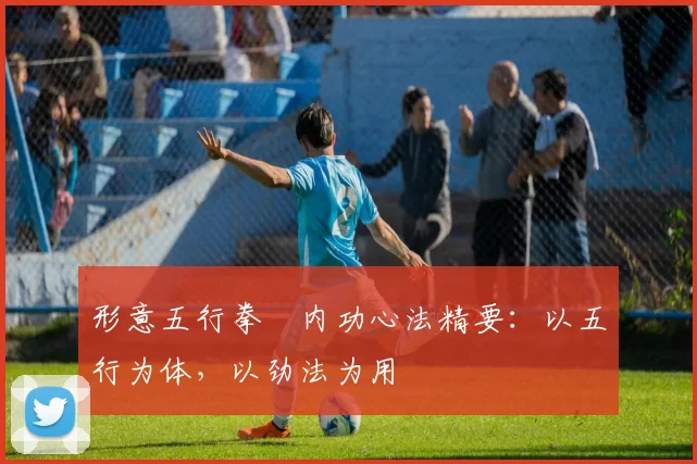 形意五行拳・内功心法精要:以五行为体,以劲法为用