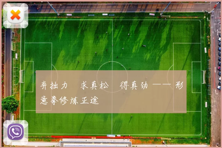 弃拙力・求真松・得真劲 —— 形意拳修炼正途