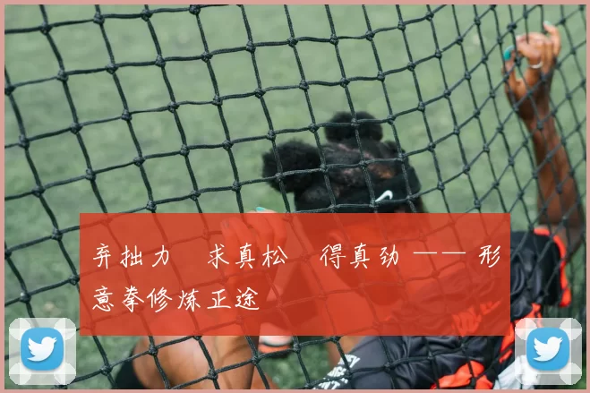 弃拙力・求真松・得真劲 —— 形意拳修炼正途