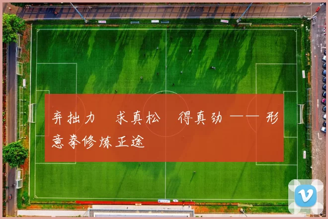 弃拙力・求真松・得真劲 —— 形意拳修炼正途