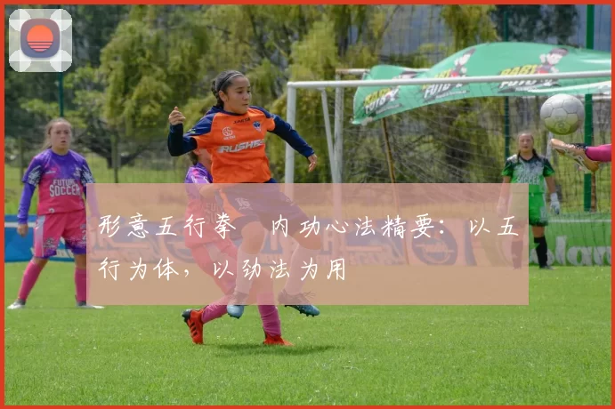 形意五行拳・内功心法精要：以五行为体，以劲法为用