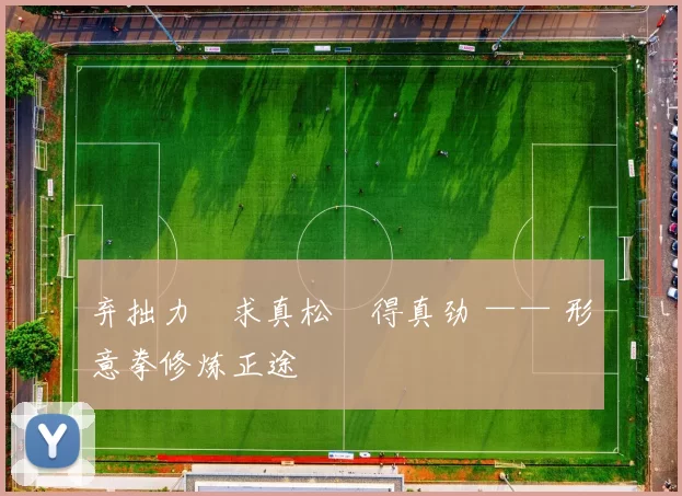 弃拙力・求真松・得真劲 —— 形意拳修炼正途