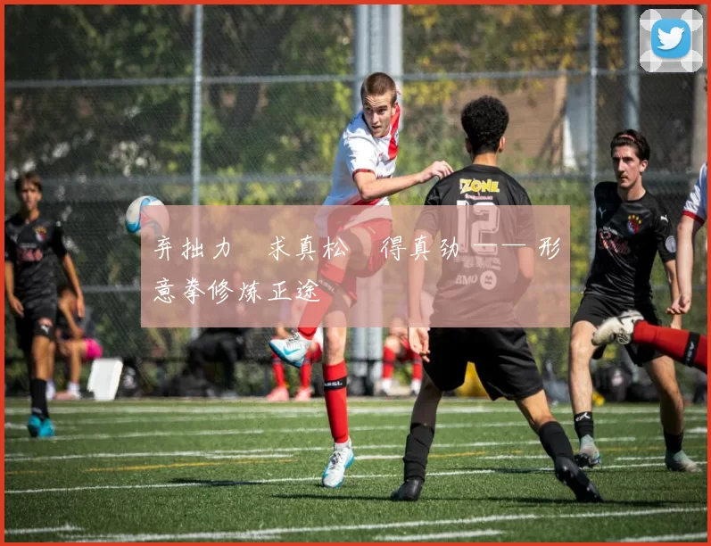 弃拙力・求真松・得真劲 —— 形意拳修炼正途