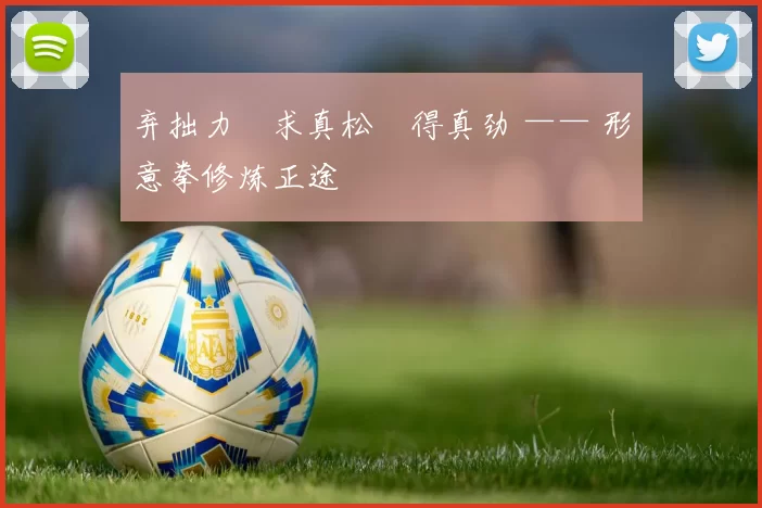 弃拙力・求真松・得真劲 —— 形意拳修炼正途