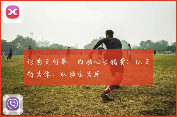 形意五行拳・内功心法精要：以五行为体，以劲法为用