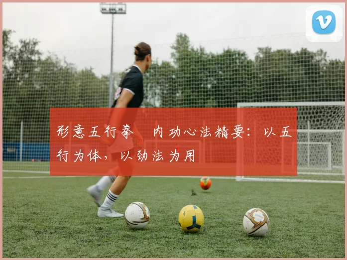 形意五行拳・内功心法精要：以五行为体，以劲法为用