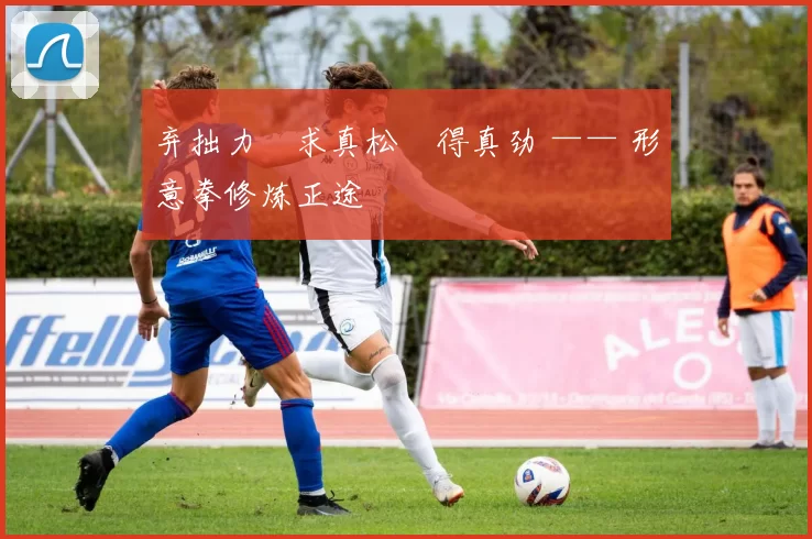 弃拙力・求真松・得真劲 —— 形意拳修炼正途