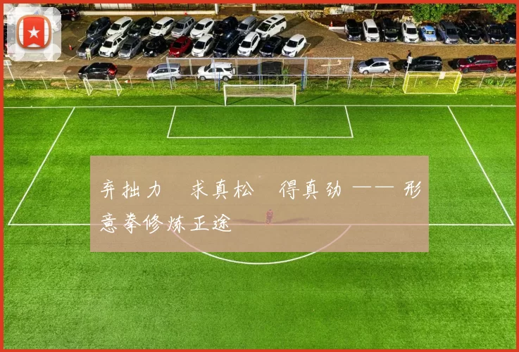 弃拙力・求真松・得真劲 —— 形意拳修炼正途