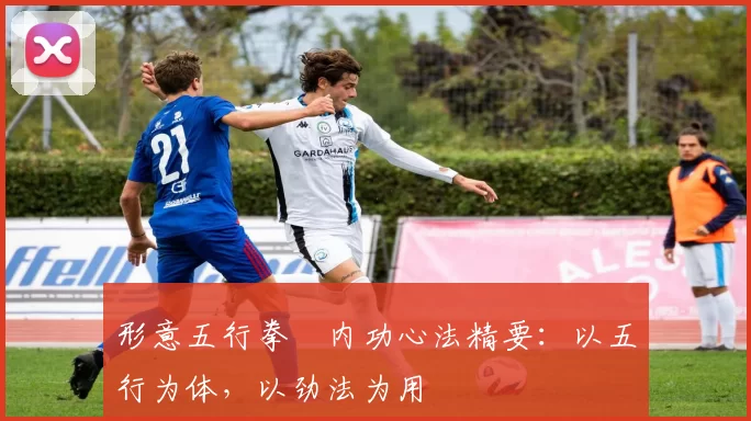 形意五行拳・内功心法精要：以五行为体，以劲法为用