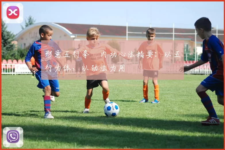 形意五行拳・内功心法精要:以五行为体,以劲法为用