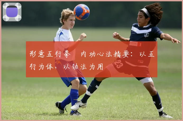 形意五行拳・内功心法精要：以五行为体，以劲法为用