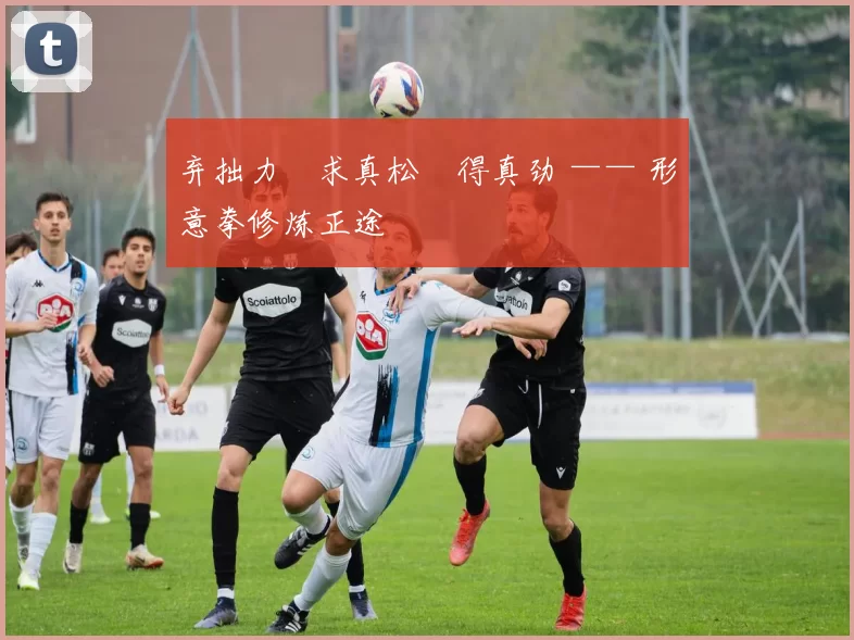 弃拙力・求真松・得真劲 —— 形意拳修炼正途