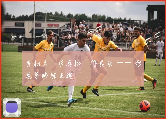 弃拙力・求真松・得真劲 —— 形意拳修炼正途