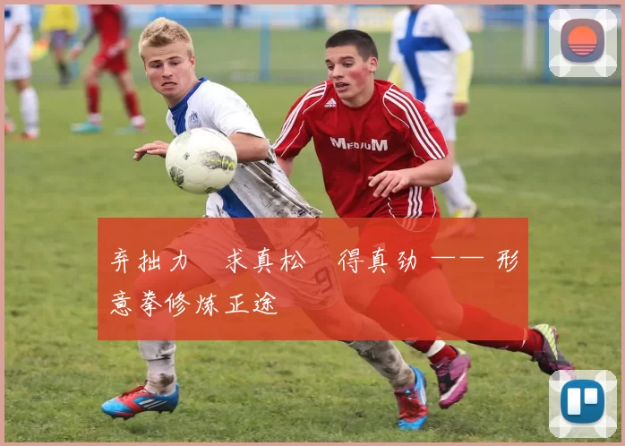 弃拙力・求真松・得真劲 —— 形意拳修炼正途