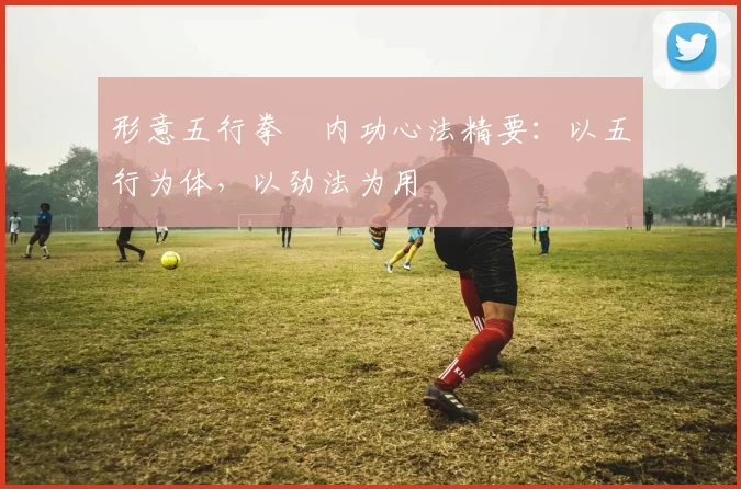 形意五行拳・内功心法精要：以五行为体，以劲法为用