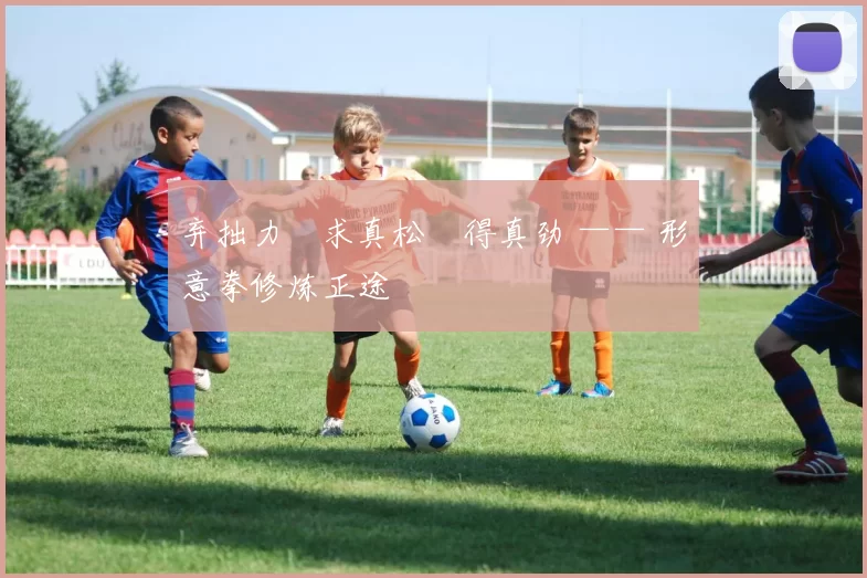 弃拙力・求真松・得真劲 —— 形意拳修炼正途