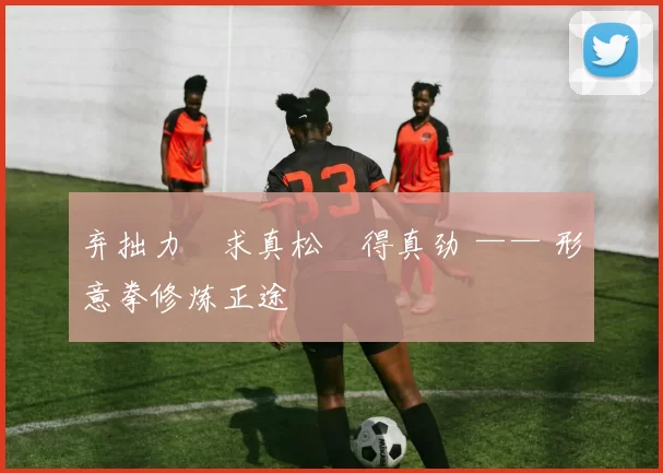 弃拙力・求真松・得真劲 —— 形意拳修炼正途